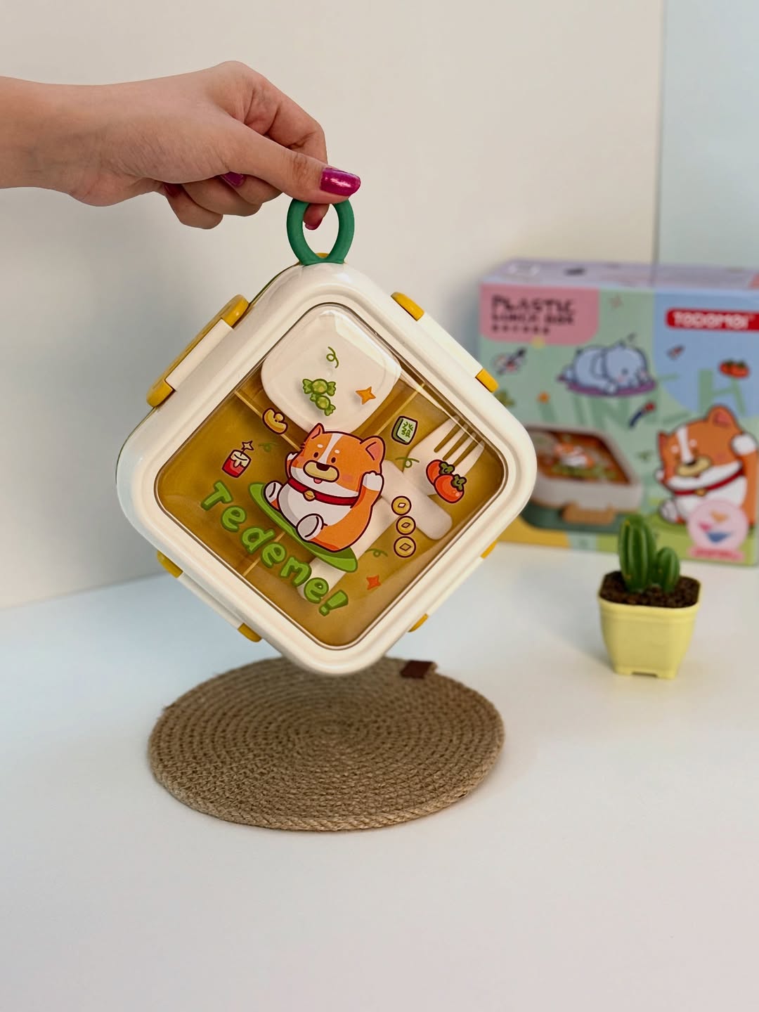 Lunch Boxes & Tiffins for Kids School Office